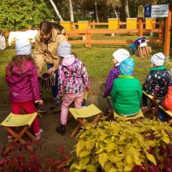 Taburete bajo personalizado