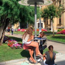 Cargadores de móviles outdoor con energía solar Mushroom