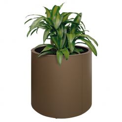 Jardinera Zen