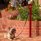 Poste para sujetar mascotas Dogpark