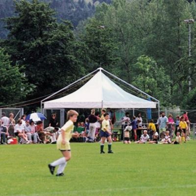 Carpa de recepción hexagonal para eventos Pagoda