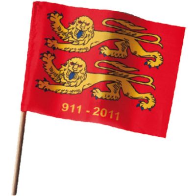 bandera personalizable