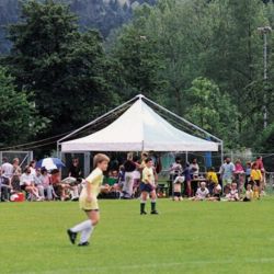 Carpa de recepción hexagonal para eventos Pagoda