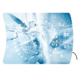 Stand Wave Landscape