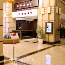 Expositor de pie telescópico regulable