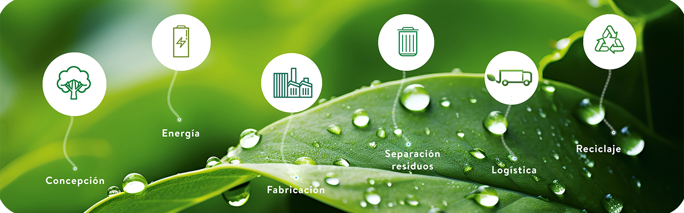 Crecimiento sostenible